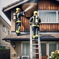 Feuerwehr entfernt Wespen